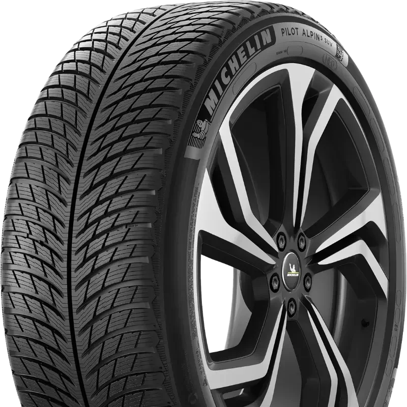 Michelin Pilot Alpin 5 SUV 255/45 R21 106 V XL