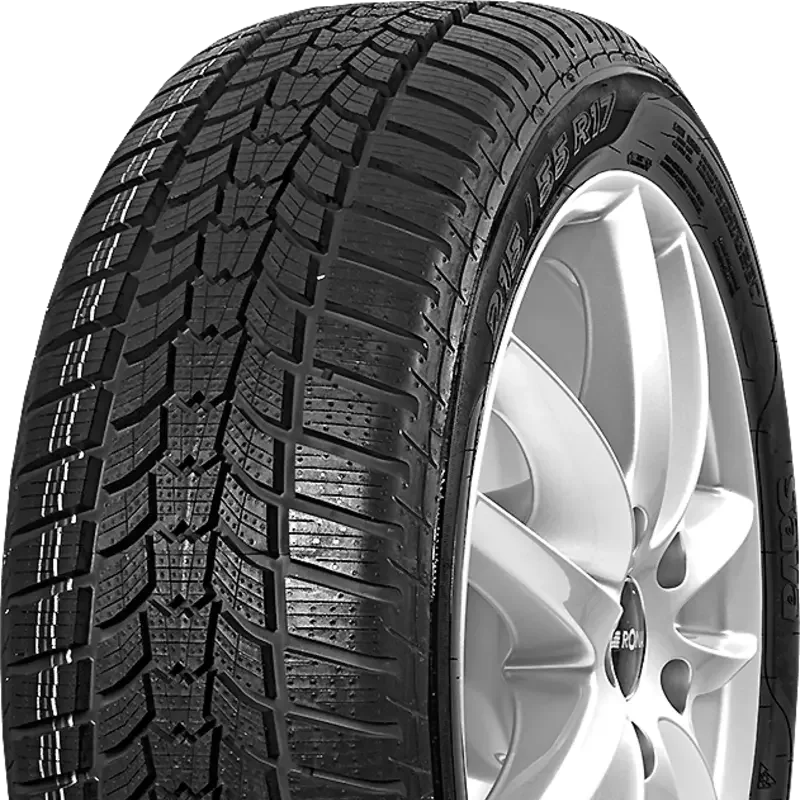 Sava Eskimo HP2 205/60 R16 96 H XL