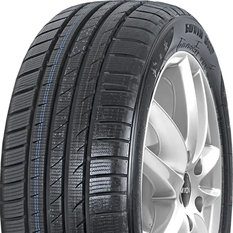 Fortuna Gowin UHP 205/55 R16 91 H