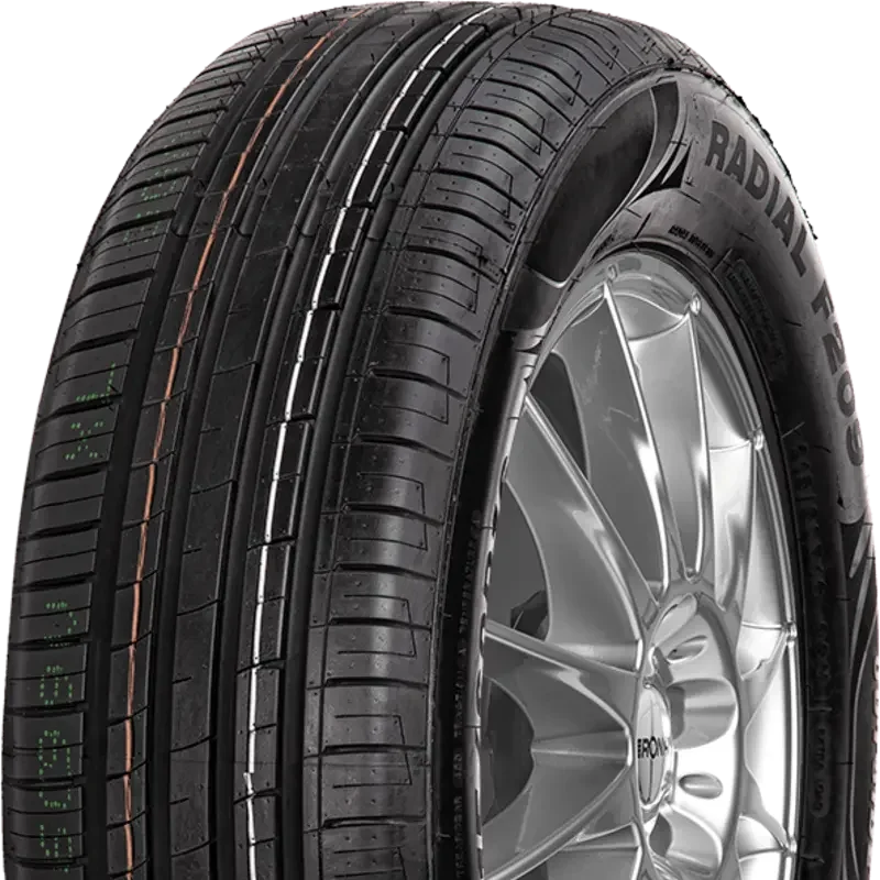 Minerva F209 205/60 R16 92 V