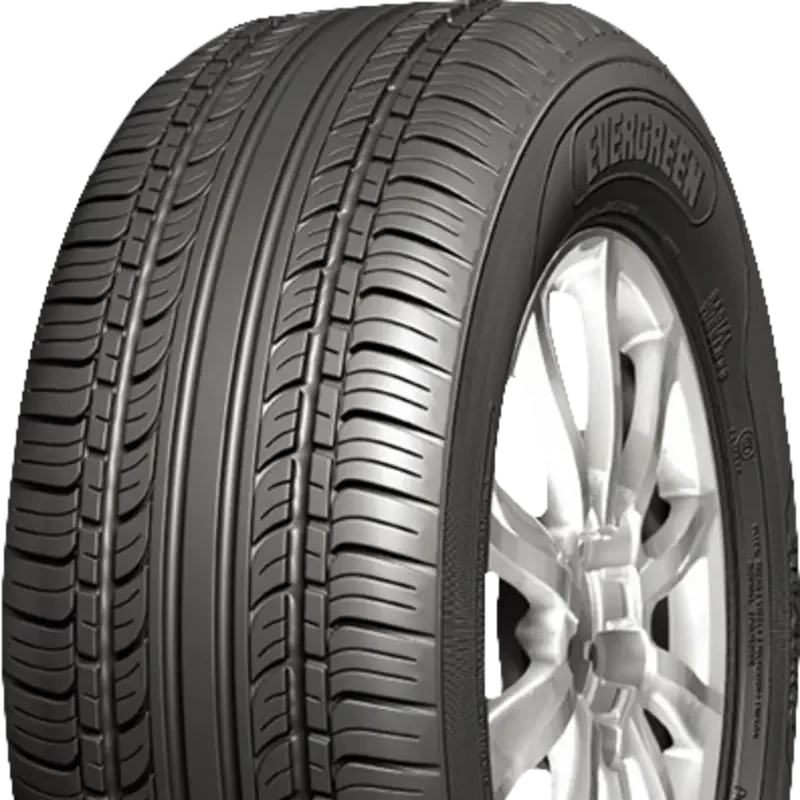 Evergreen EH23 205/60 R15 95 H XL