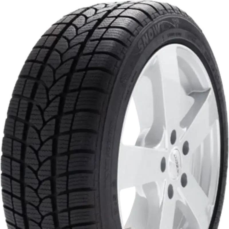 Sebring Formula Snow+ (601) 195/65 R15 95 T