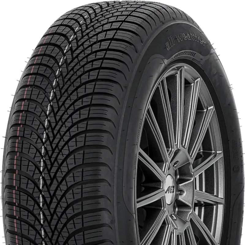 Sava All Weather 205/60 R16 96 H XL