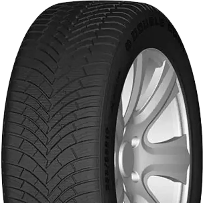 Double Coin DASP+ 195/65 R15 91 H