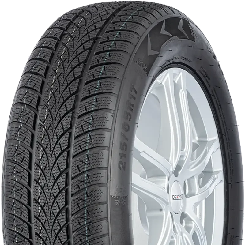 Triangle Winter X TW401 205/60 R16 96 H XL